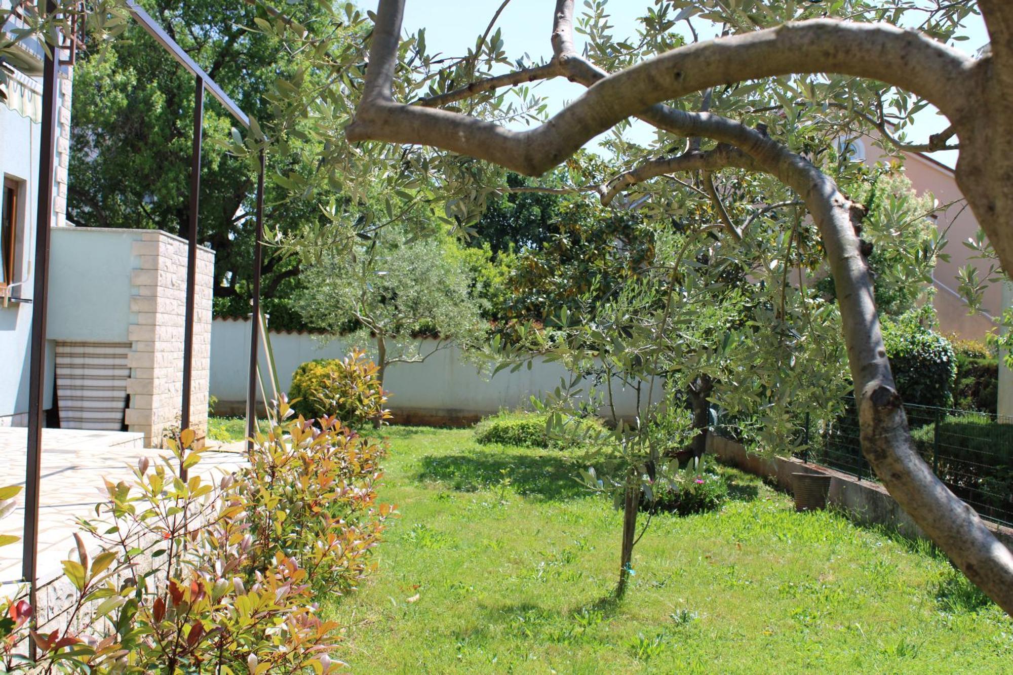 Apartment Paganor
