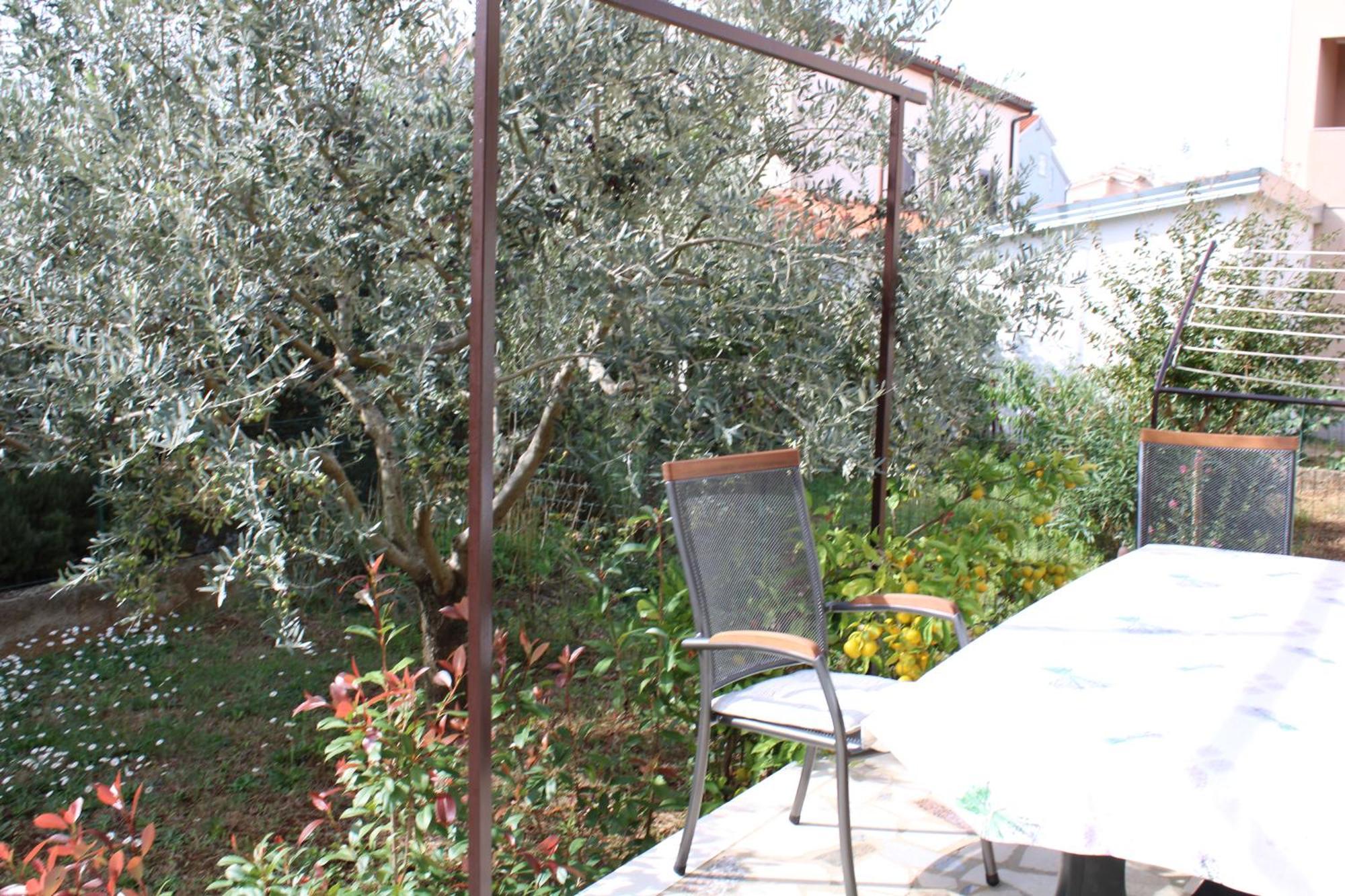 Apartment Paganor Pula